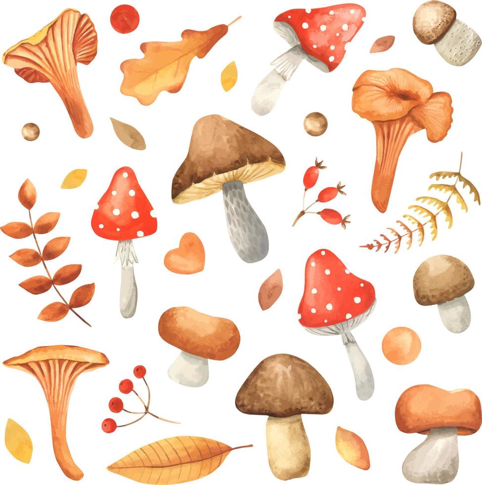 Set of watercolor vintage mushrooms isolated on white. Fall harvest forest mushrooms. Natural autumn botanical collection. Vegetarian food vector