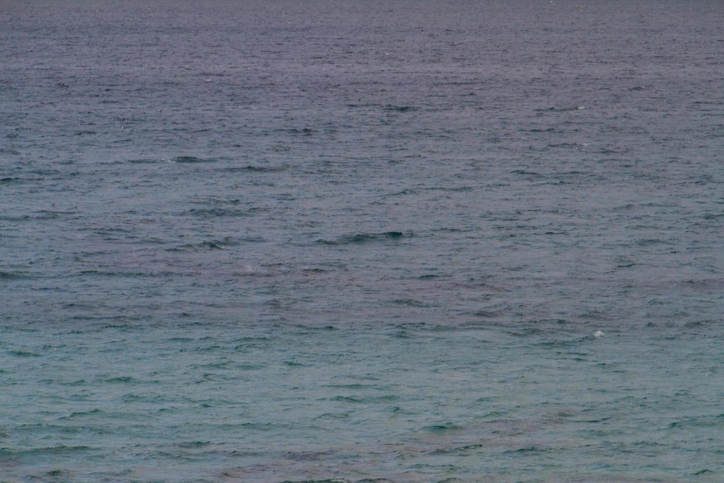 Scene at mediterranean beach resort in Tunisia. photo