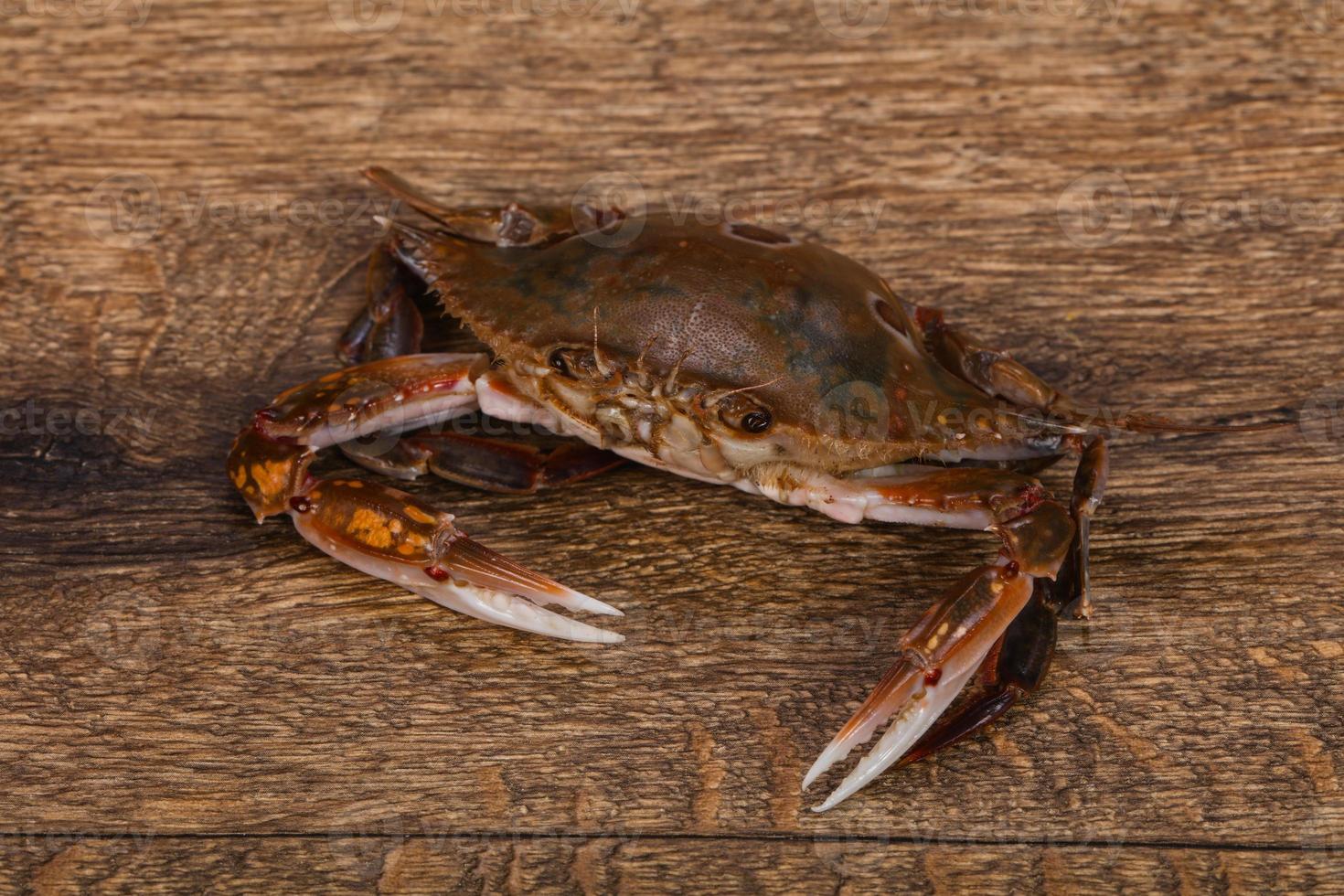 Raw crab - ready for cooking photo