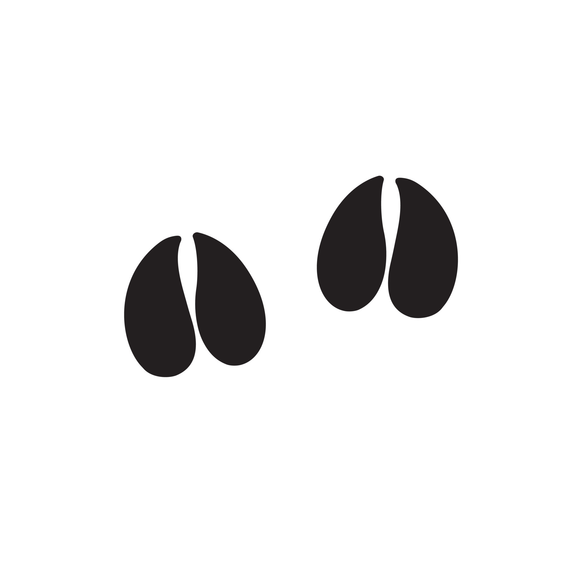 Hoof Prints Svg vrogue.co