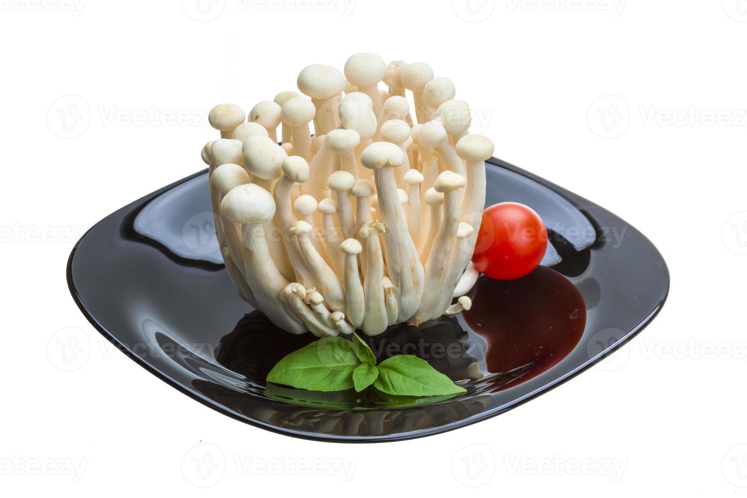 Japan mushroom Shimeji photo