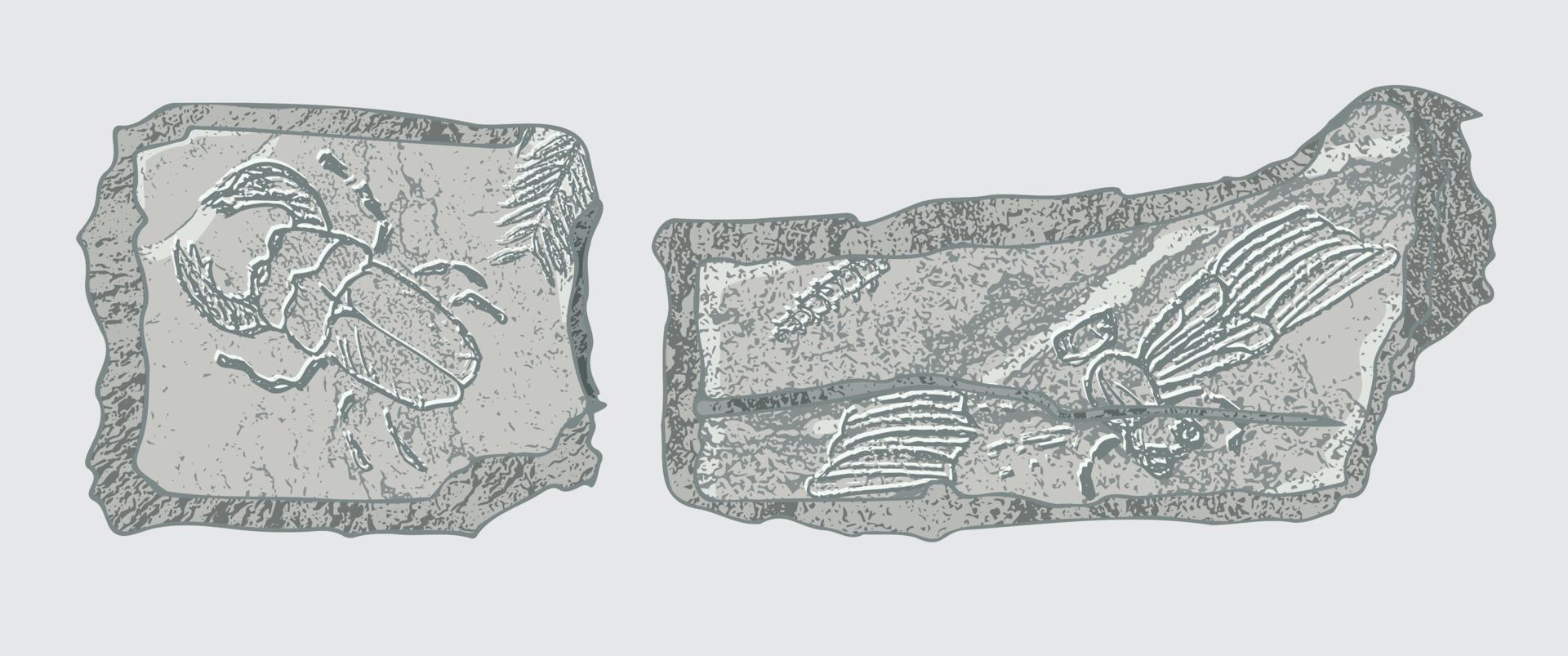 Stone with imprints of skeletons of prehistoric animals, insects and plants. Gray archeology, crack rocks fragments , debris boulders. Set of realistic hand drawn art. Vector illustration
