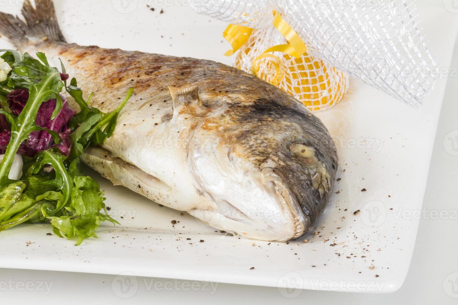 Dorada fish with salad on the white plate. Studio shot photo