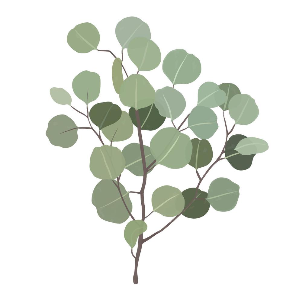 Eucalyptus gouache flat illustrations. Green leaves isolated on white background for wrapping paper, wallpaper vector