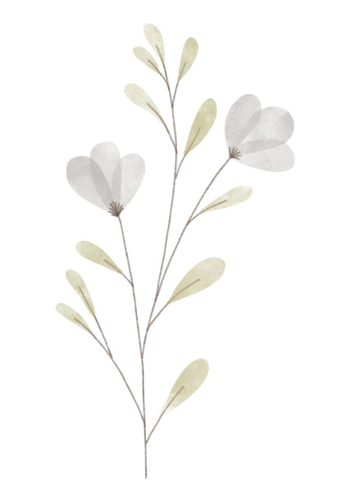 Watercolor trendy flower. Vector illustration for web, app and print. Elegant feminine shape floristic isolated flowers. Garden, botanical, minimalistic floral element.