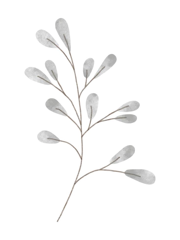 Watercolor trendy pussy willow plant. Vector illustration for web, app and print. Elegant feminine shape floristic isolated leaves. Garden, botanical, minimalistic floral element.