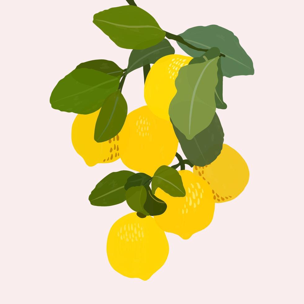 Lemons gouache flat illustrations. Green leaves and lemons isolated on light background for wrapping paper, wallpaper vector