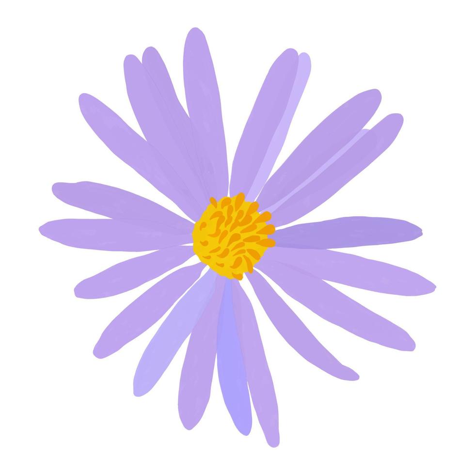 Purple aster flower icon isolated on white background. Gouache sticker of flower with yellow center vector