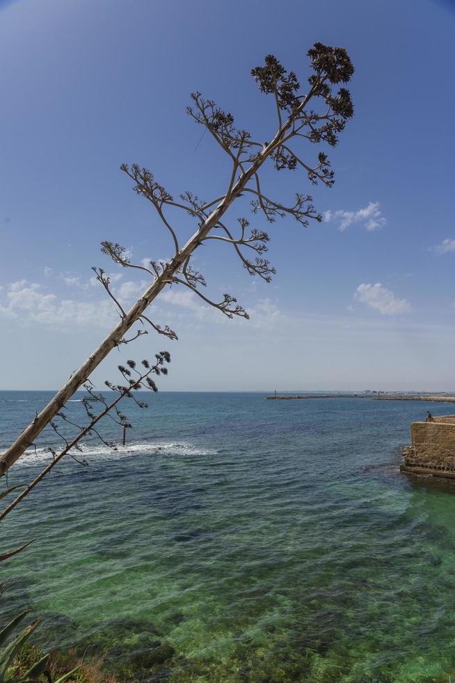 Mediterranean sea coast photo