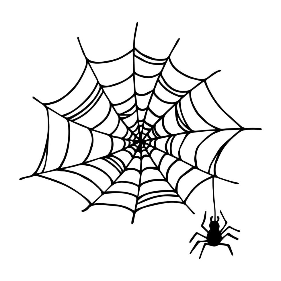 Simple hand drawn spider web illustration. Cute gossamer clipart. Halloween doodle for print, web, design, decor, logo vector