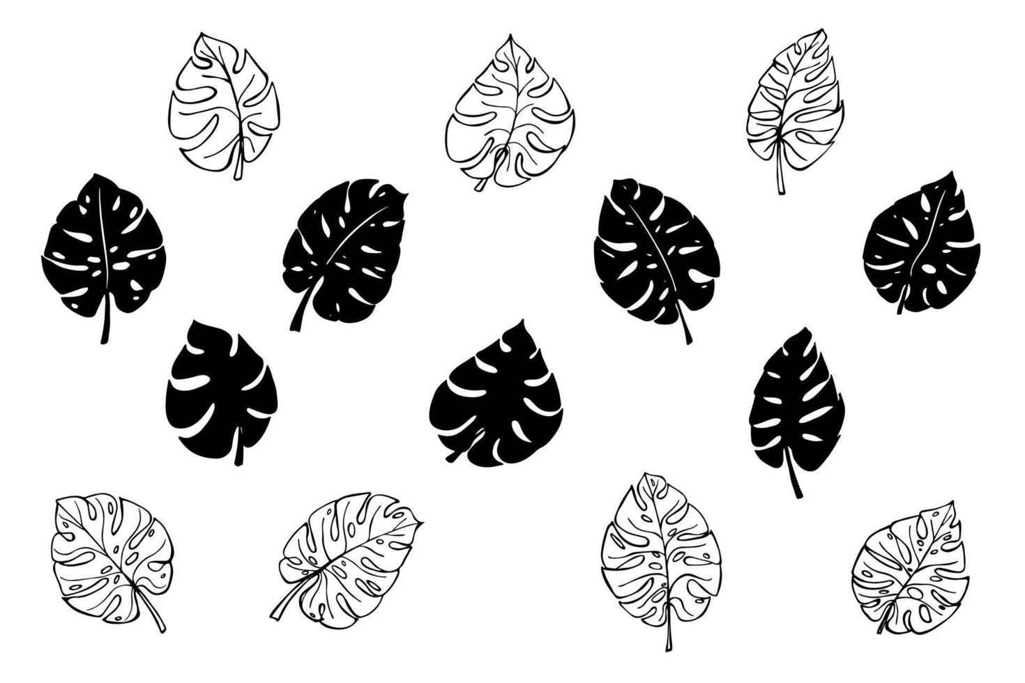 Set of simple tropical monstera leaves illustration. Hand drawn vector clipart. Botanical doodle