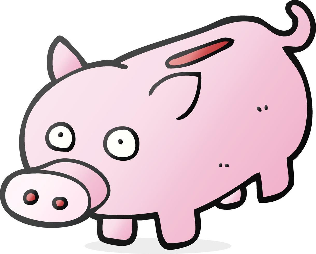 cartoon piggy bank vector