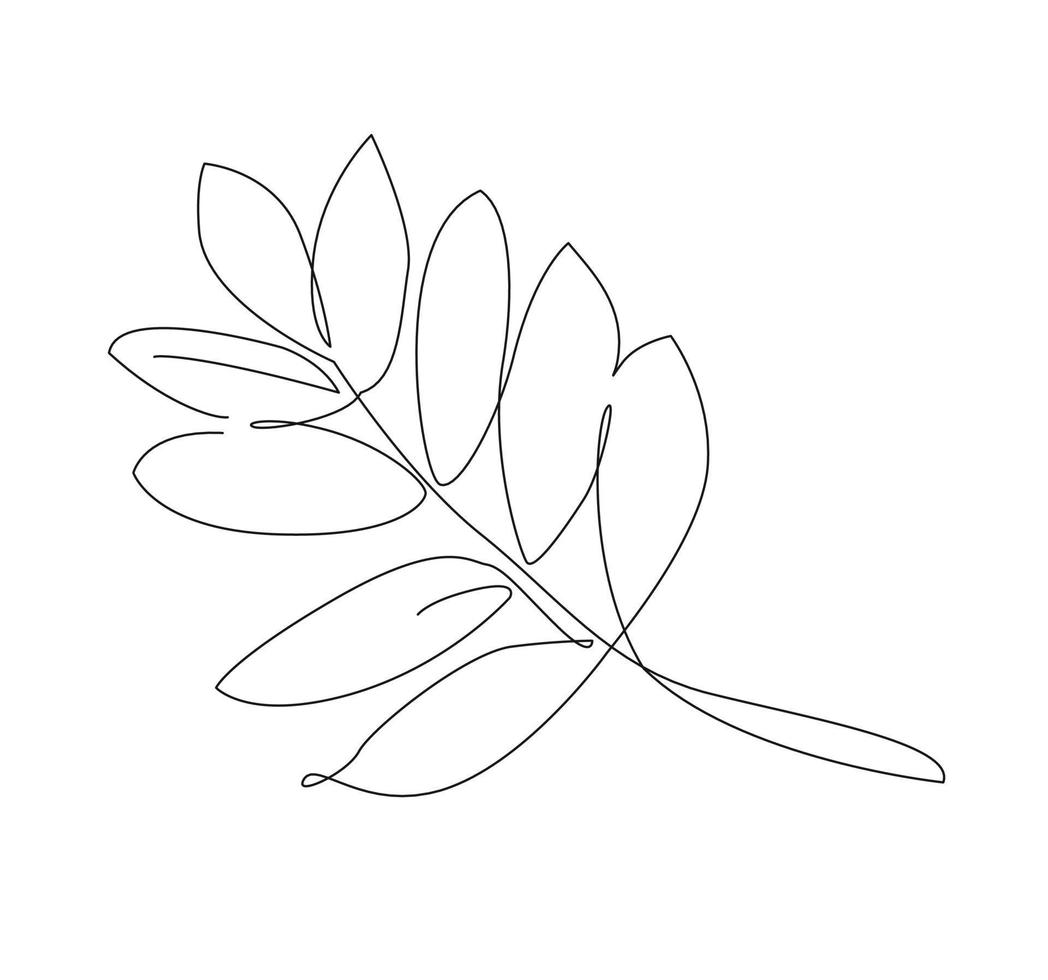 ilustración de una línea de hoja de otoño. hojas de arce de arte lineal. esquema vectorial vector