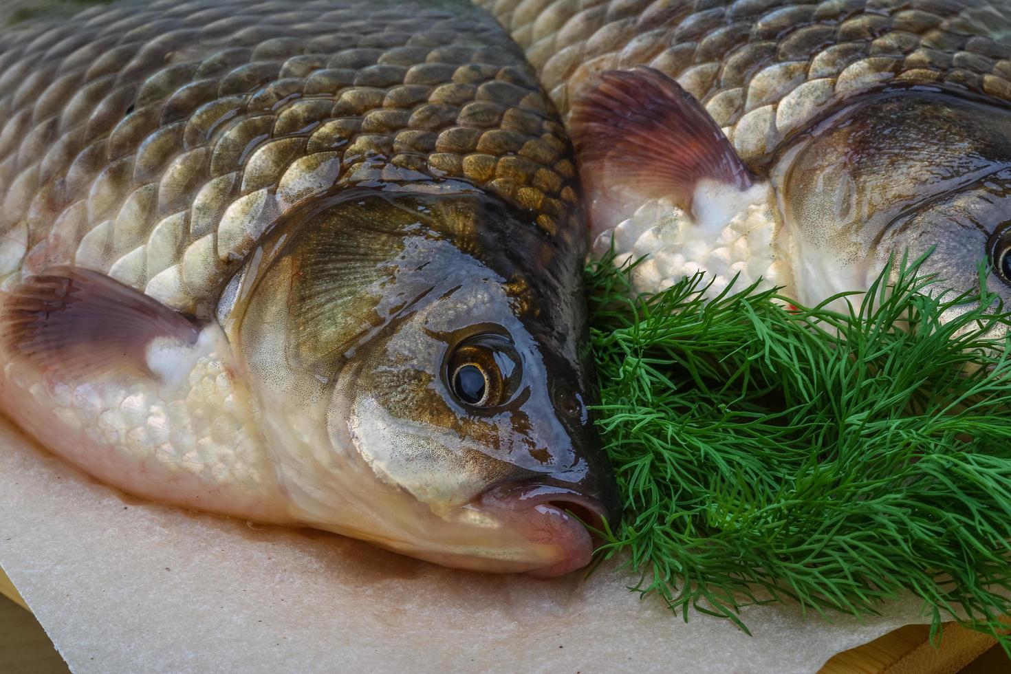 Two crucian on wooden board photo