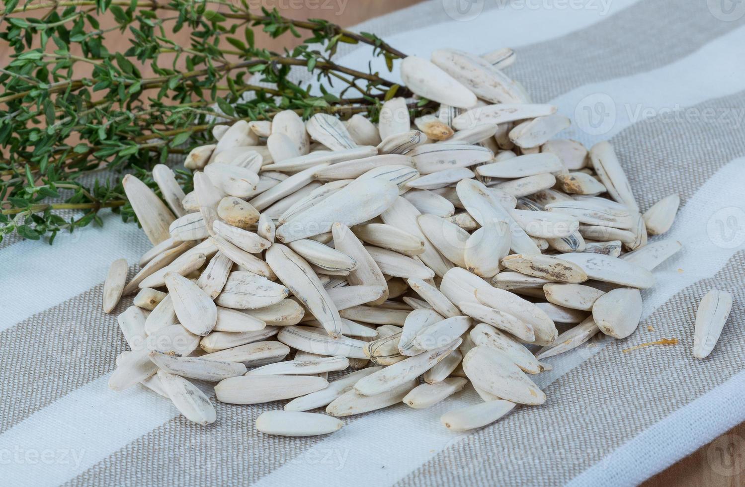 White sunflower seeds photo