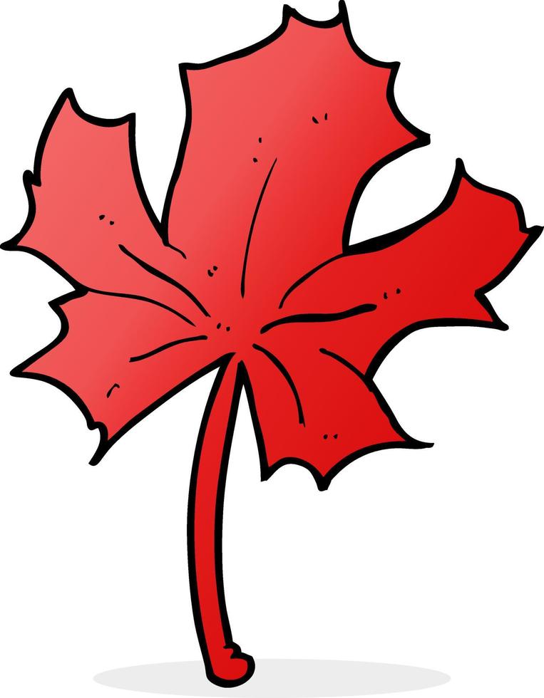 cartoon red maple leaf vector
