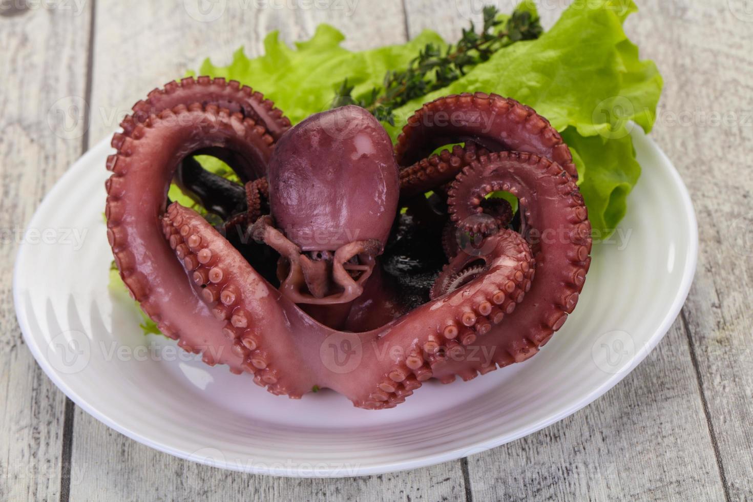 pulpo hervido con hierbas foto