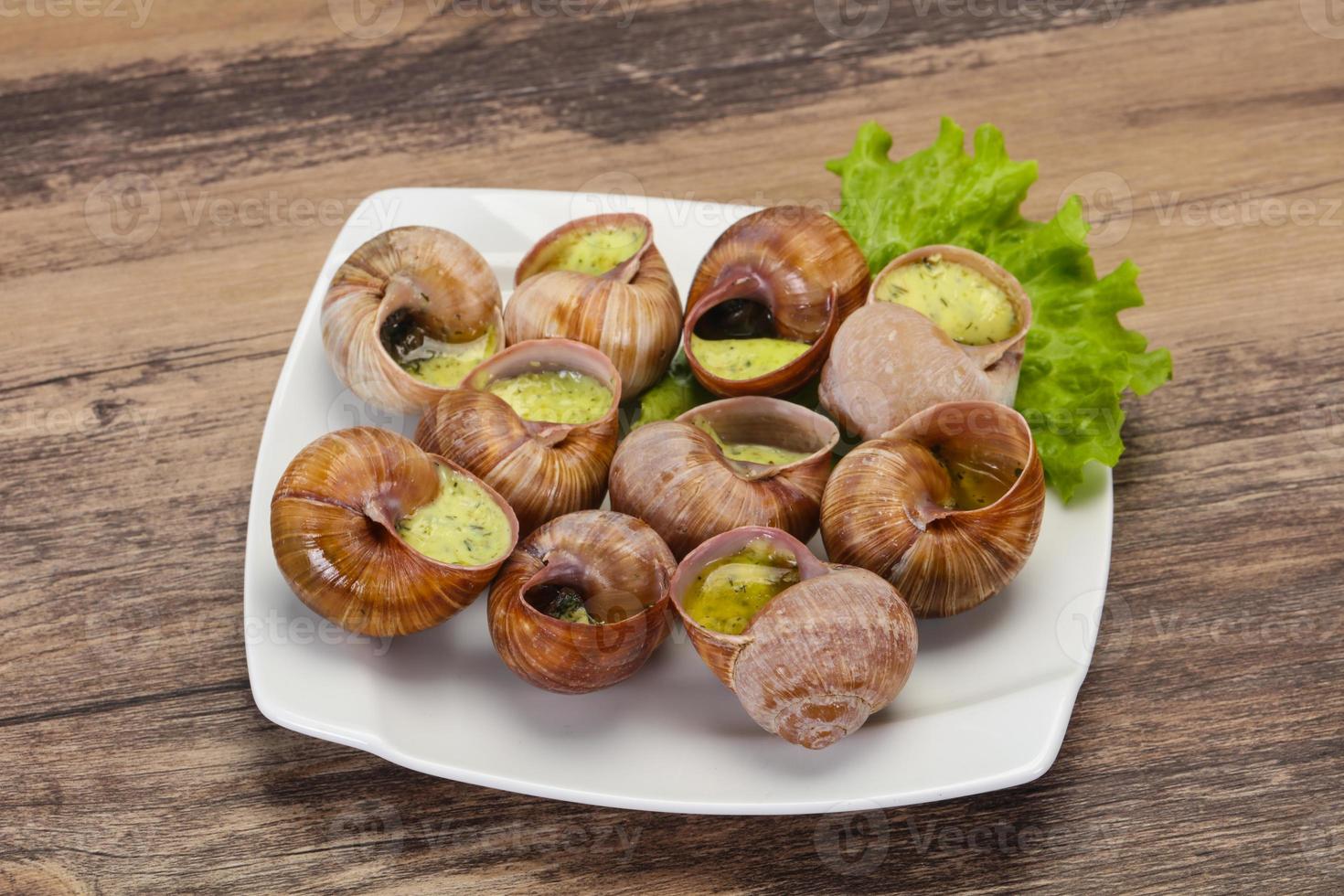 French cuisine - Escargot with sauce photo