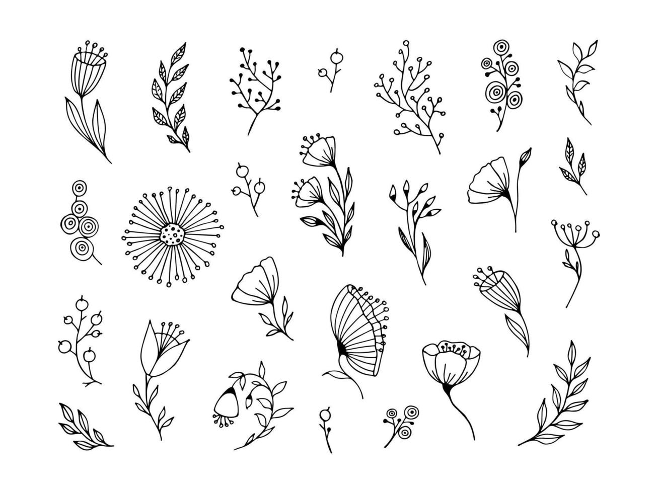 Set of hand-drawn flower and branches doodle. vector