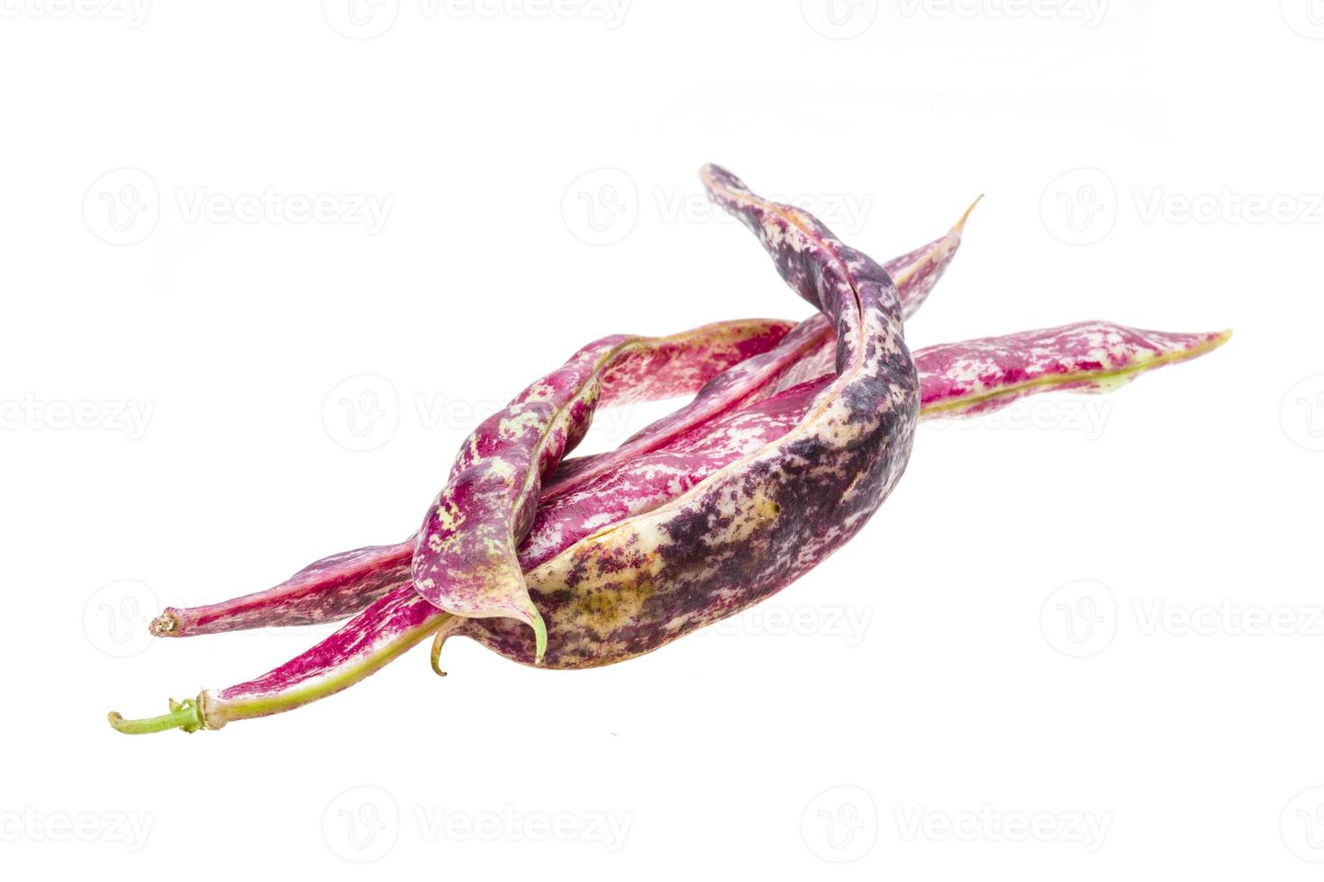 Red bean pod photo