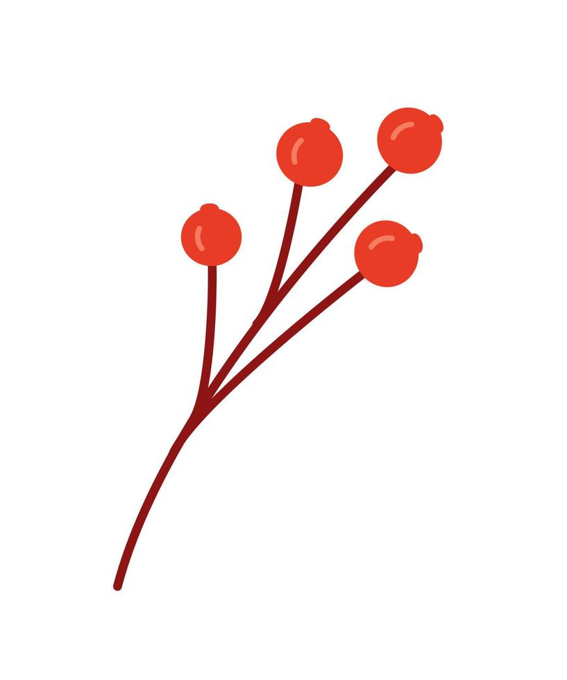 una rama con bayas rojas de fresno de montaña o ilustración vectorial de fideos viburnum, aislada en blanco. vector