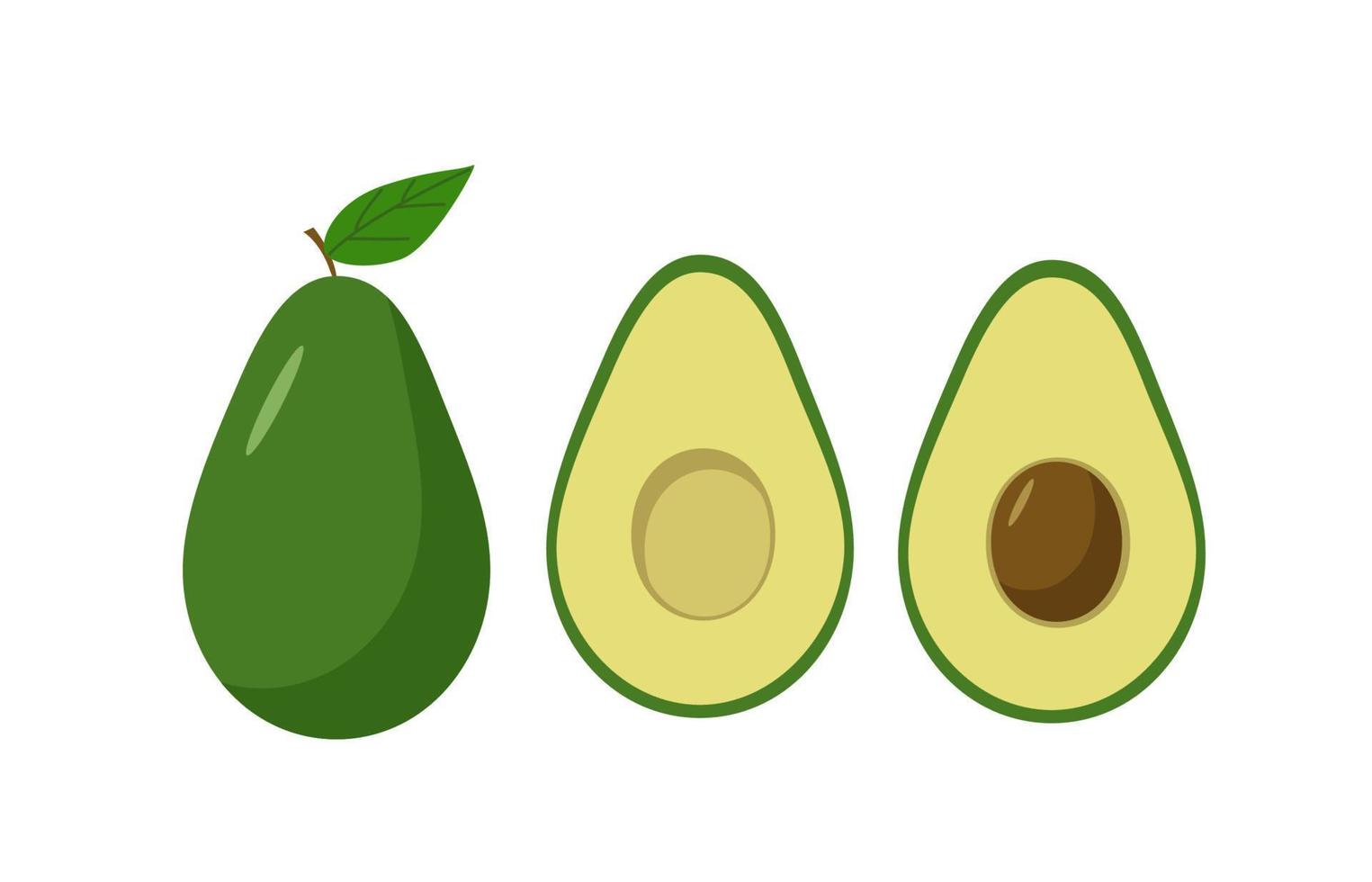 Avocado set of whole and halves with a bone. Vector illustration of fresh avocado fruit.