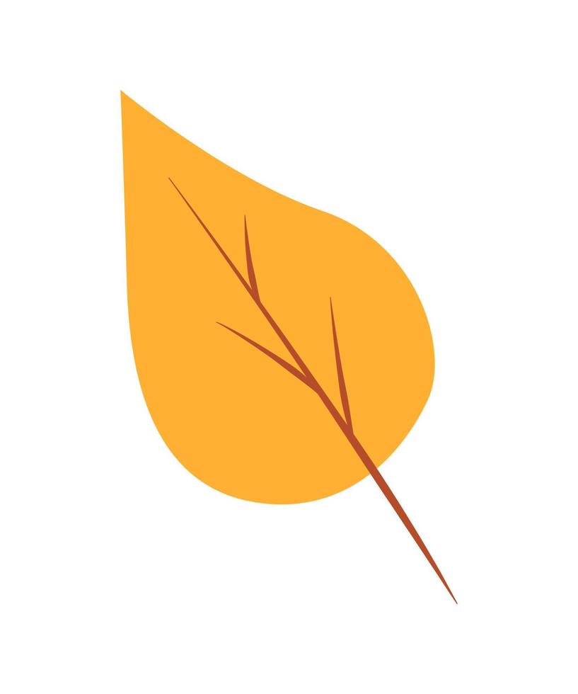 Birch or aspen leaf doodle vector illustration, isolate on white.