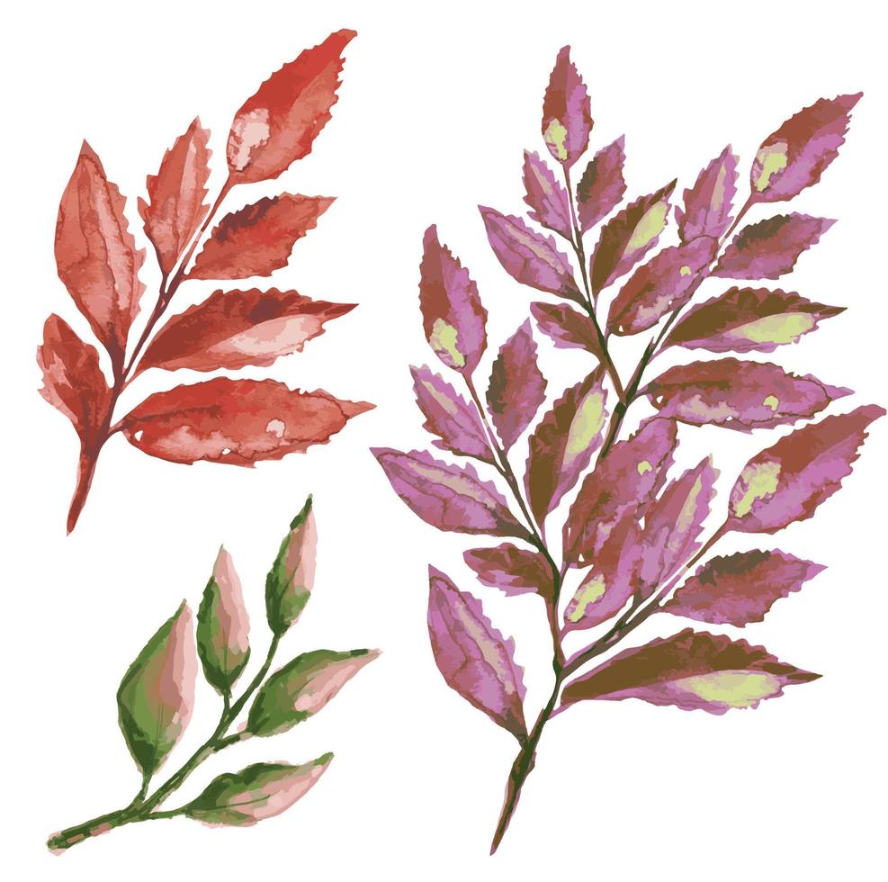 ilustración de vector de hoja seca de otoño