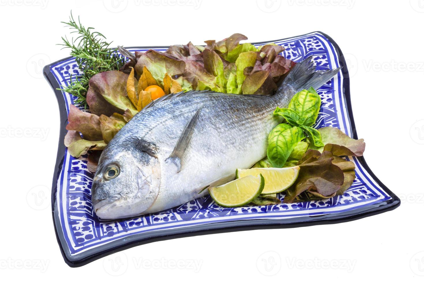 Fresh raw dorada photo