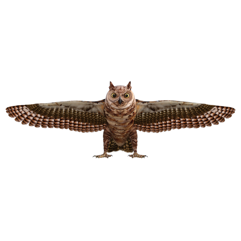 Owls 3d render png