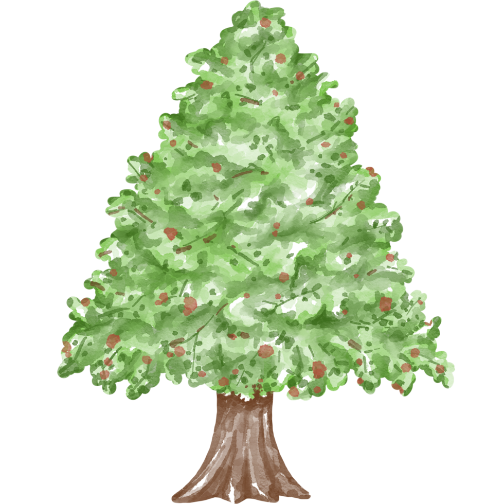 illustration d'arbre de noël conçue avec des techniques graphiques à l'aquarelle. fond transparent adapté aux décorations de thème de noël, impression numérique, conception de sac, cadeaux, cartes de noël, autocollant png