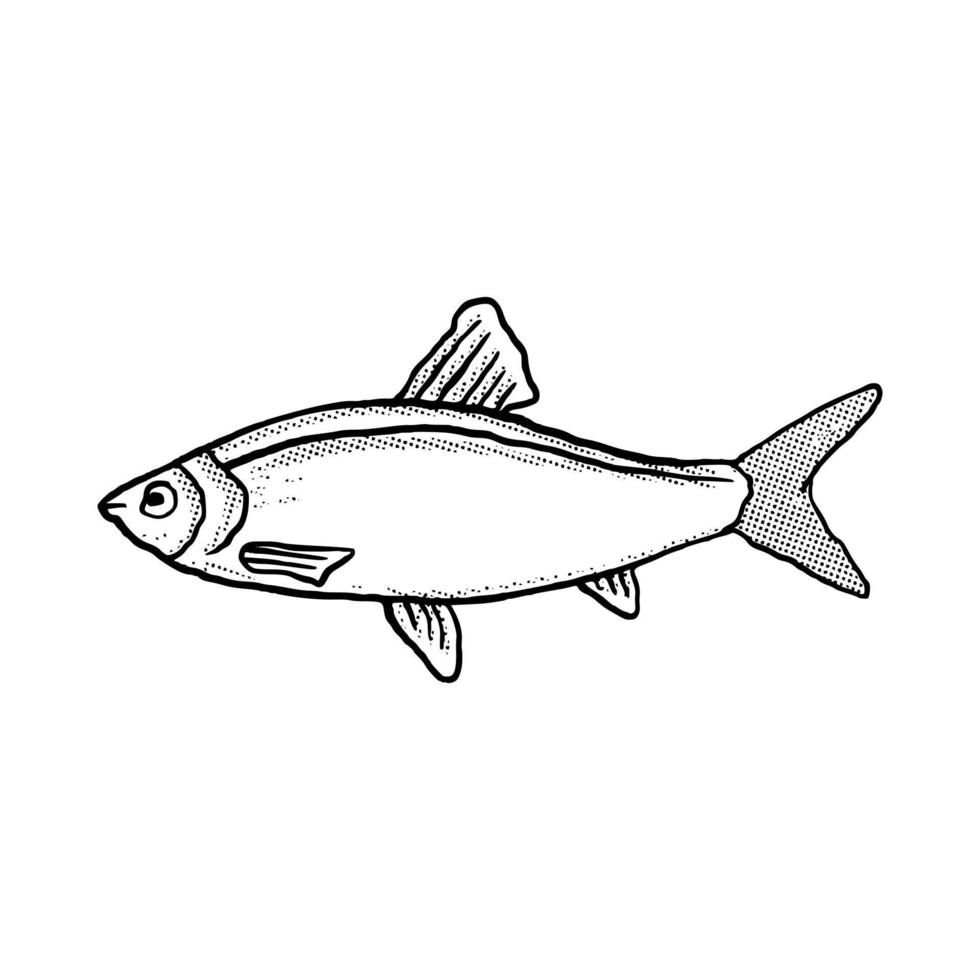 pescado ilustración dibujado a mano dibujos animados boceto lineart estilo vintage vector