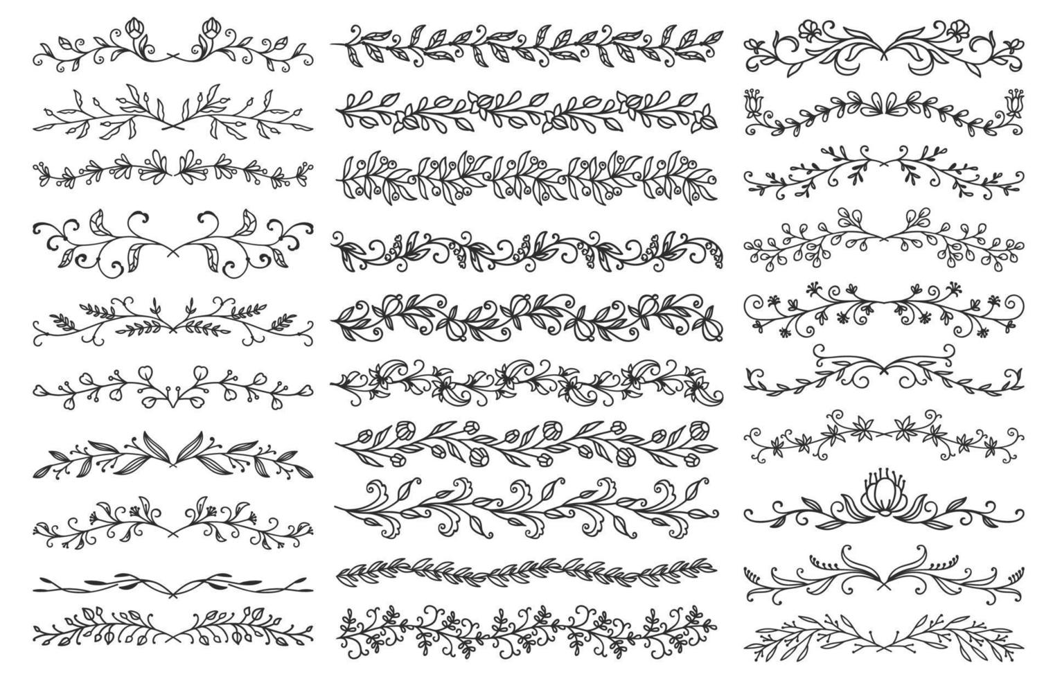 adornos florales, bordes y divisores vector