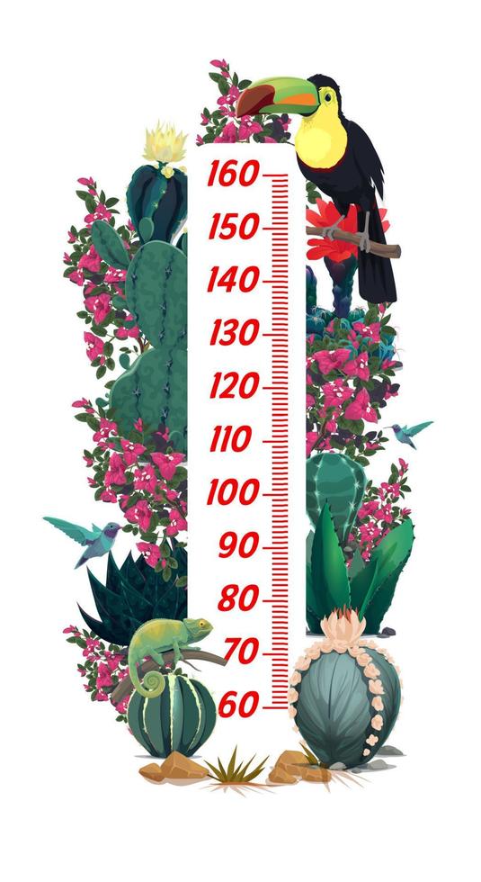 Kids height chart with mexican toucan and flowers vector