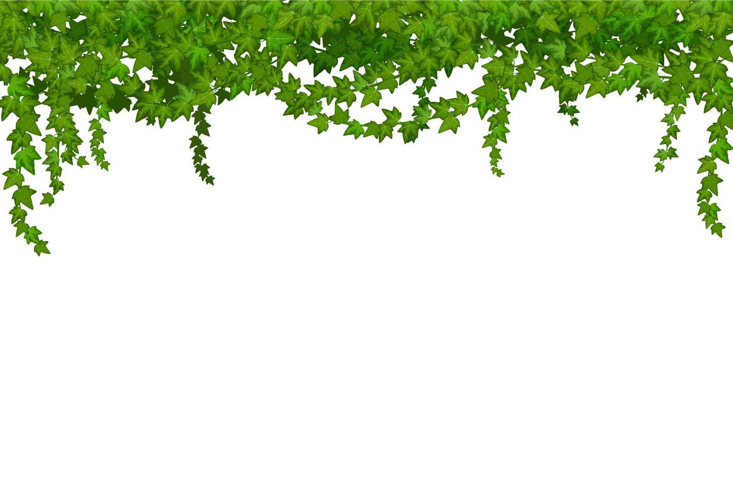 liana de hiedra con hojas verdes, enredaderas tropicales de la selva vector
