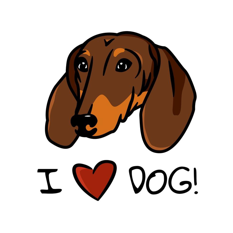Close-up of a dog s head. Vector illustration, in cartoon style, is ready for printing on T-shirts, clothes, posters, postcards and much more.