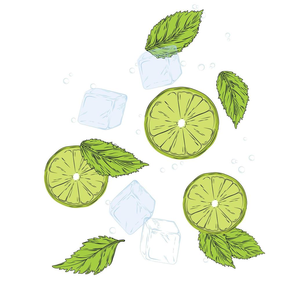 Mojito vector stock illustration. Fresh alcoholic cocktail. Soda, lime, ice cubes, mint leaves in a glass glass. Isolated on a white background.
