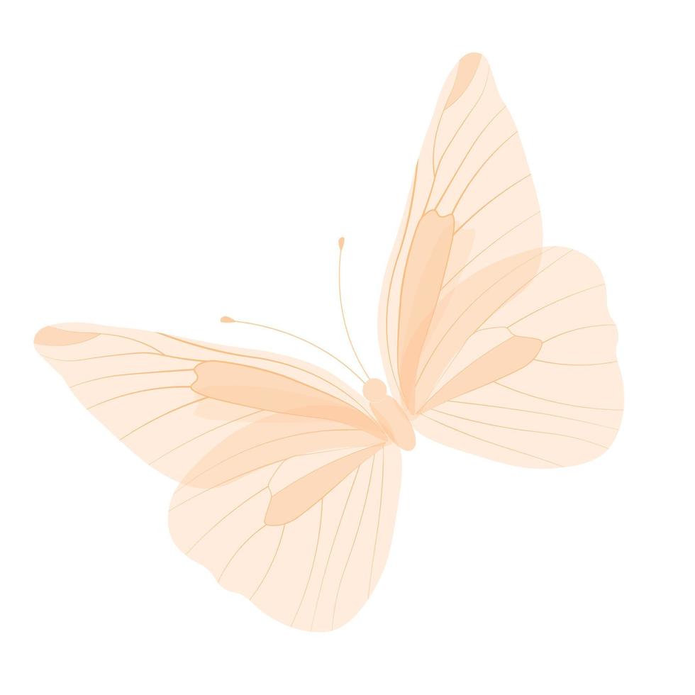 mariposa, delicadas alas frágiles. ilustración de stock vectorial. alas estampadas, un insecto de pradera de verano. Aislado en un fondo blanco. vector