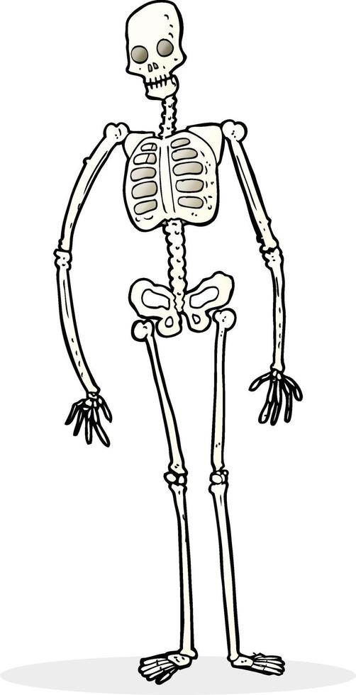 cartoon spooky skeleton vector