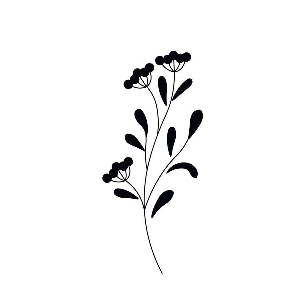 A twig, a blade of grass.  Flower. Black ink silhouette isolated on white background.  hand drawn vector decorative elements for your design.