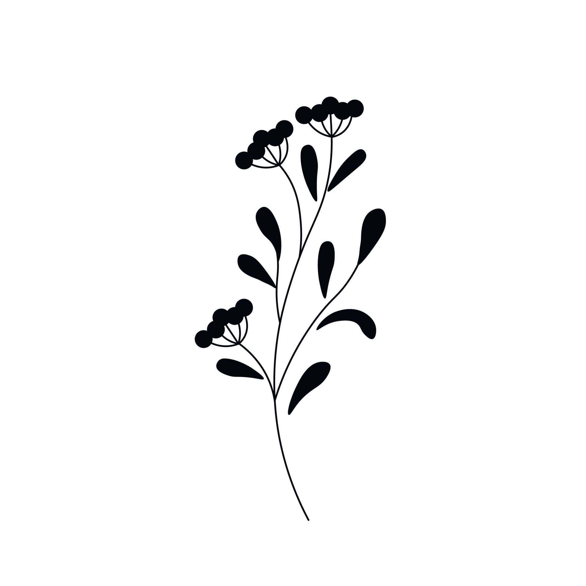 A twig, a blade of grass. Flower. Black ink silhouette isolated on