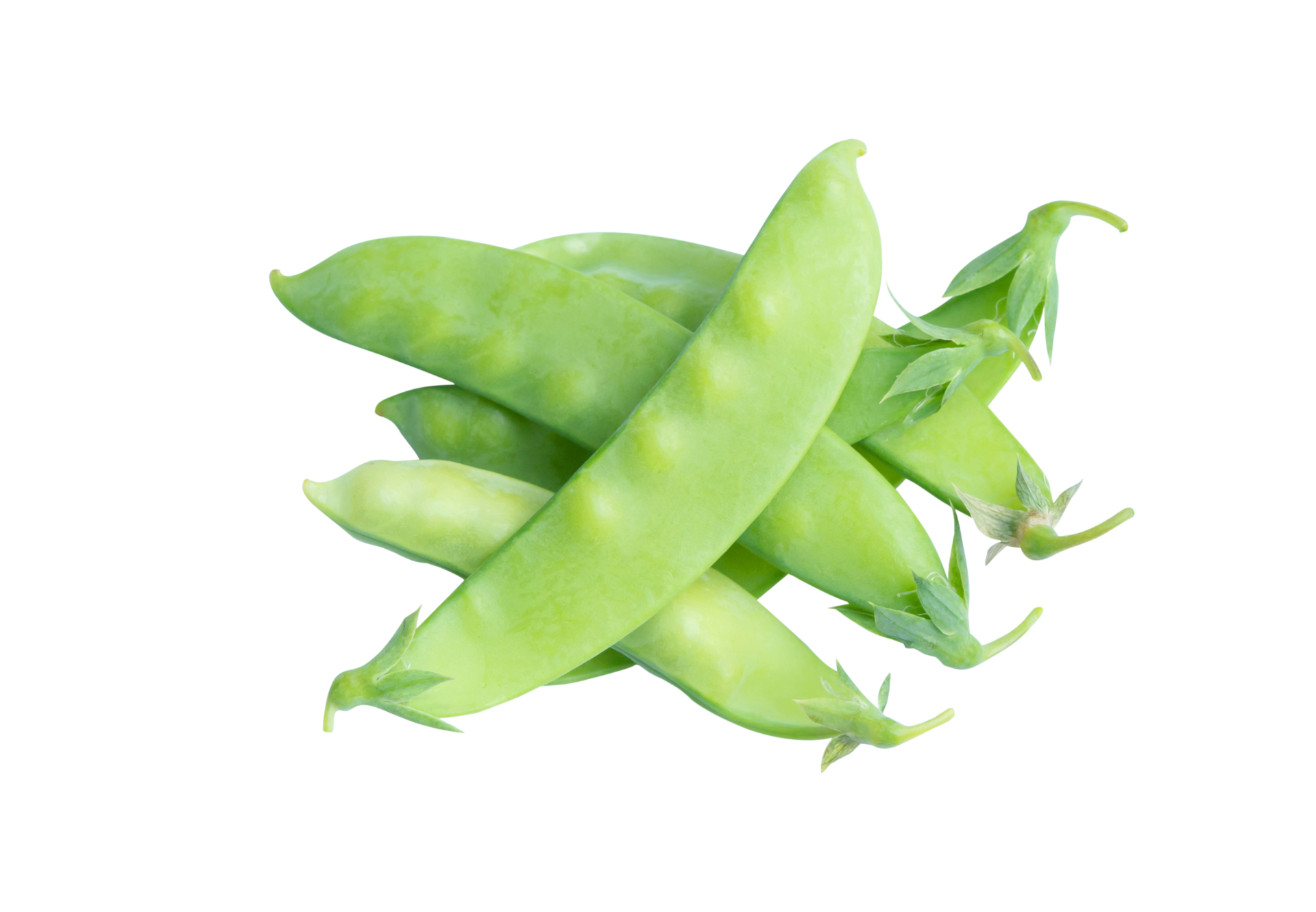 Sugar Pea, Snow peas 12288823 PNG