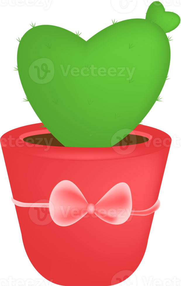 cactus and plant pots png