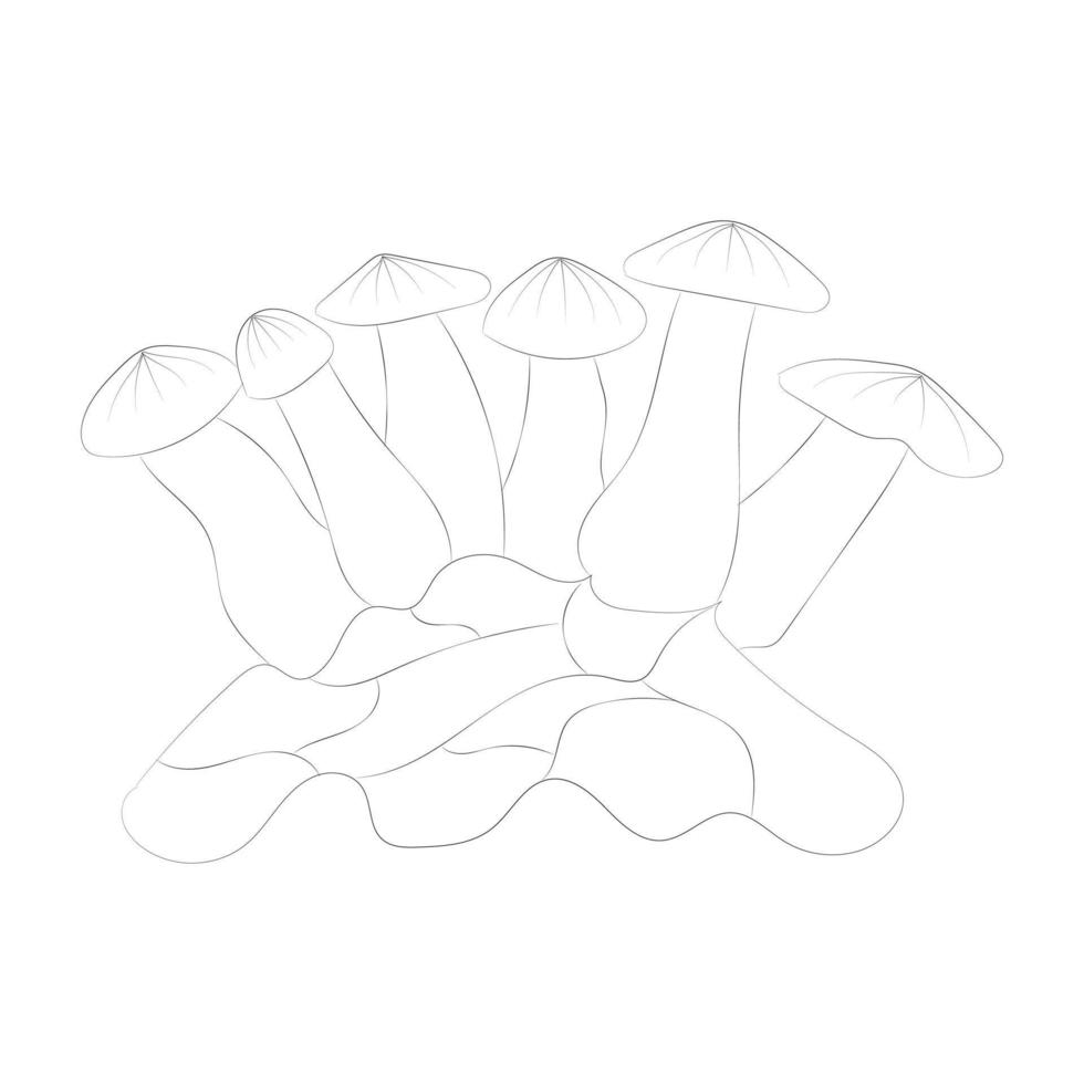 Mushroom coloring pages vector