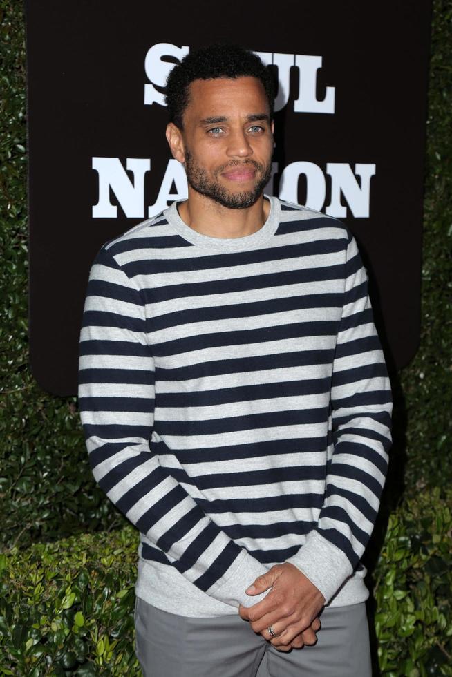 LOS ANGELES   MAR 22 - Michael Ealy at the  Soul Of A Nation - Art In the Age Of Black Power 1963 1983  Exhibit at The Broad on March 22, 2019 in Los Angeles, CA photo