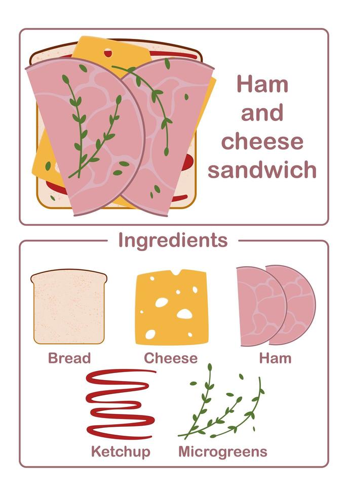 sandwich ingredients bread, cheese, ham and salad vector