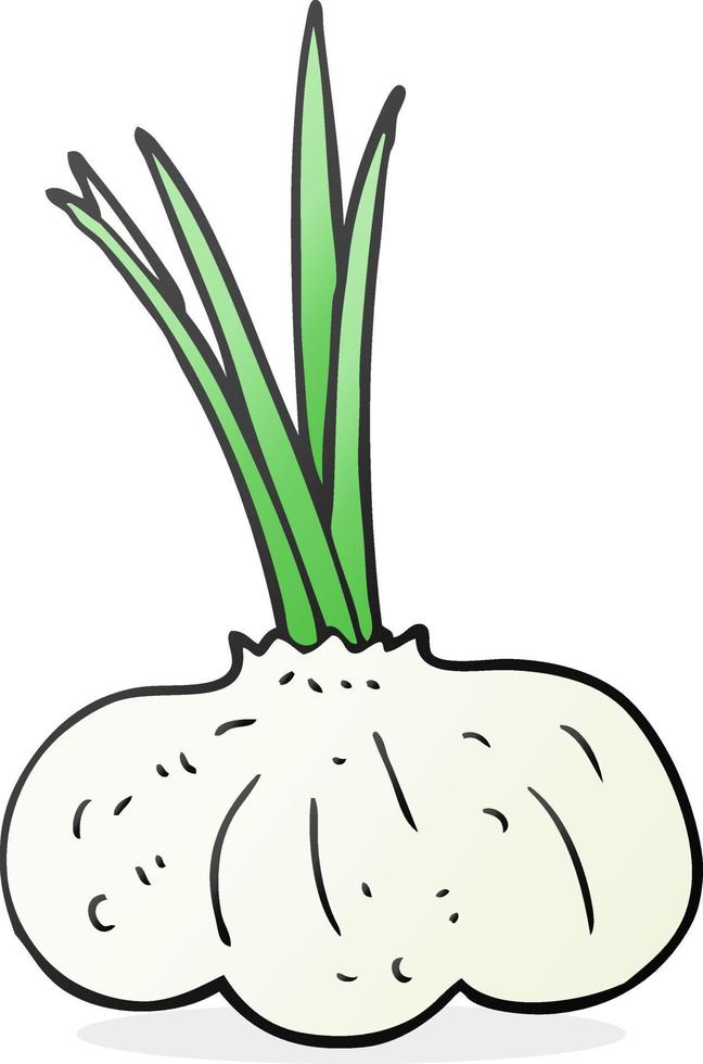 cartoon garlic bulb vector