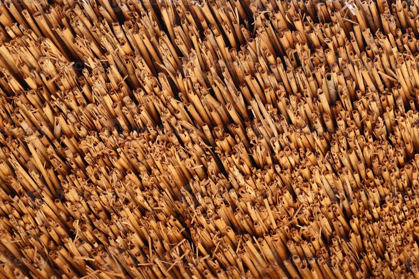 Brown bamboo texture background coming from natural bamboo straws. The oriental asian roofing has a beautiful yellow pattern, fence texture photo