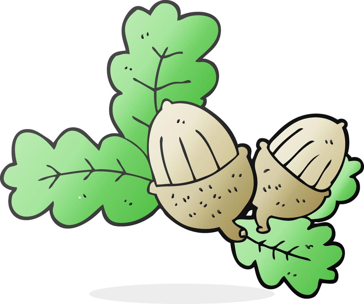 cartoon acorns and leaves vector