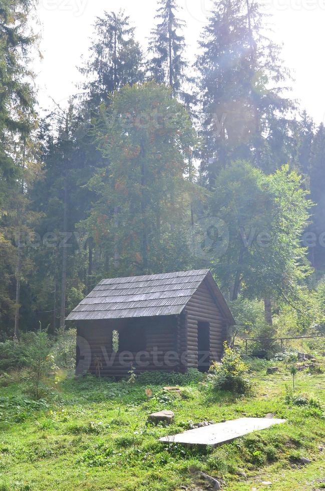 Small natural house, which is built of wood. The building is located in the forest photo